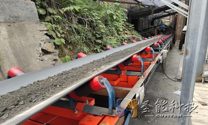 <a href='http://www.lyggwsc.cn' target='_blank'><u>電子皮帶秤</u></a>