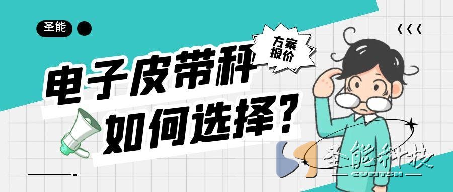 圣能科技<a href='http://www.lyggwsc.cn/' target='_blank'><u>皮帶秤</u></a>